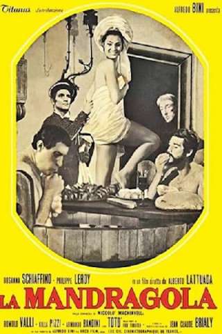 La mandragola [HD] (1965)